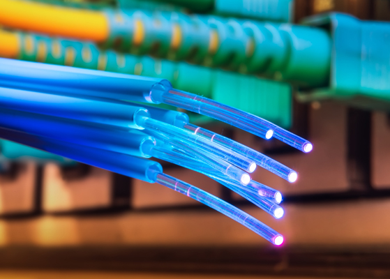 Stock image showcasing fiber cables